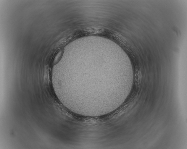 X0000113051058200909241450
