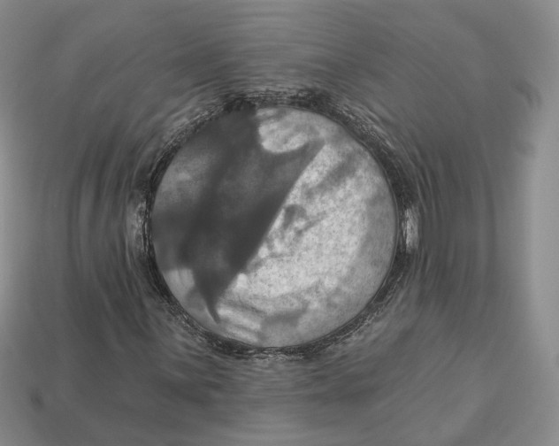 X0000113051059200909241450