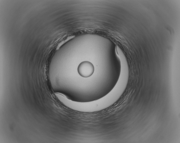 X0000113051060200909241450