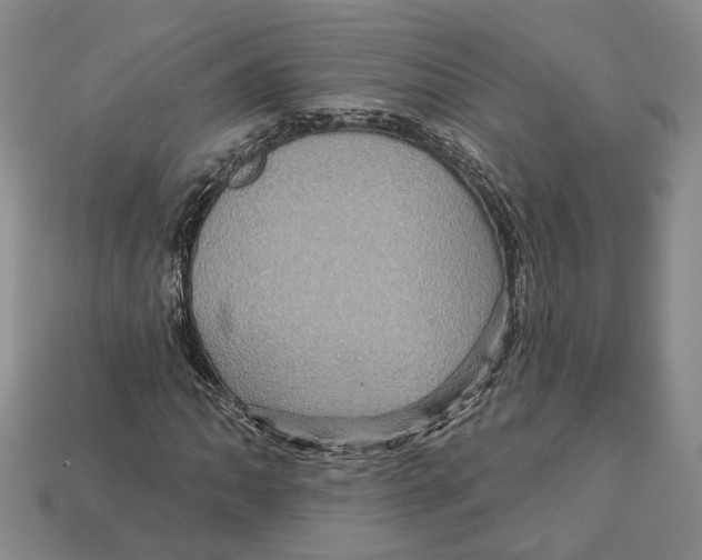X0000113051062200909241450