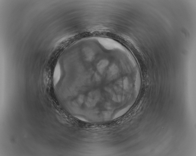 X0000113051063200909241450
