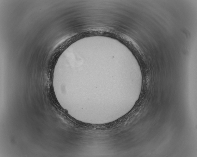 X0000113051064200909241450