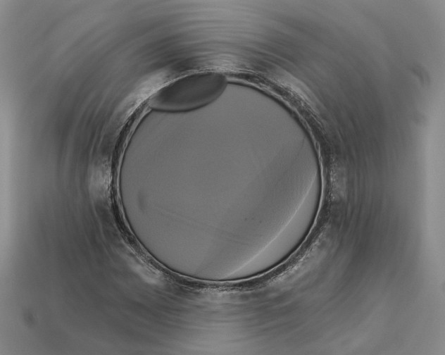 X0000113051065200909241450