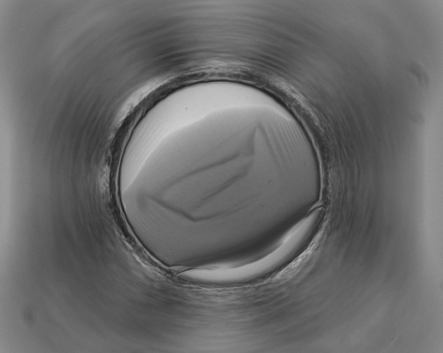 X0000113051066200909241450