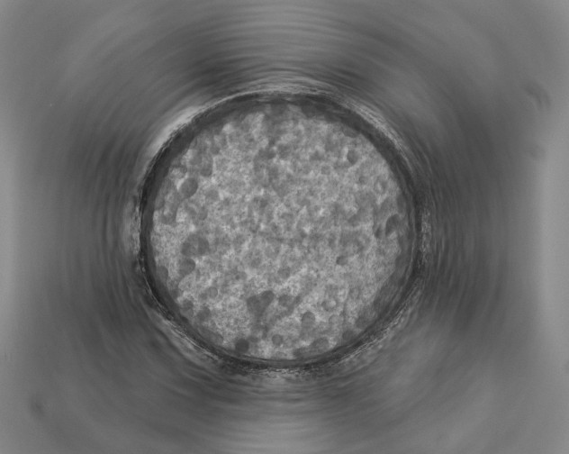 X0000113051067200909241450