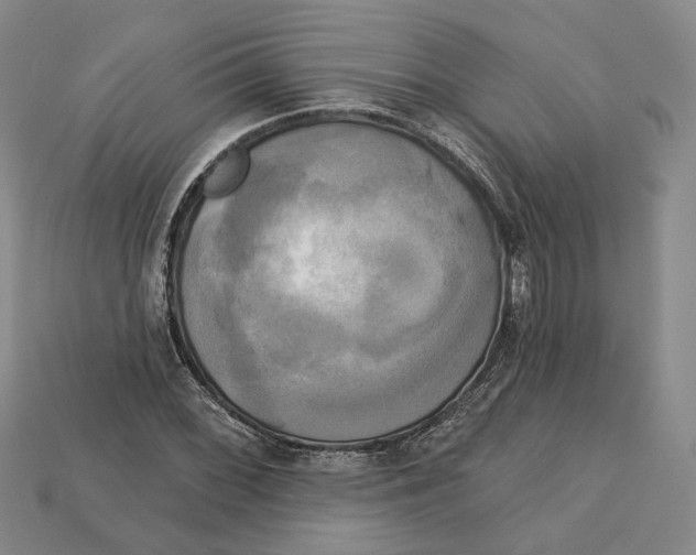 X0000113051068200909241450