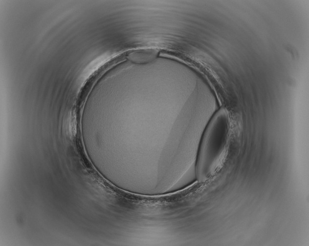 X0000113051069200909241450