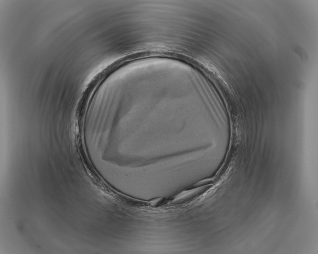 X0000113051070200909241450