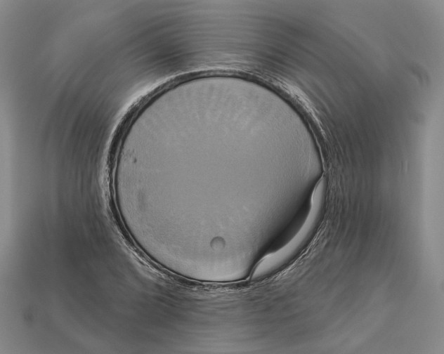 X0000113051072200909241450