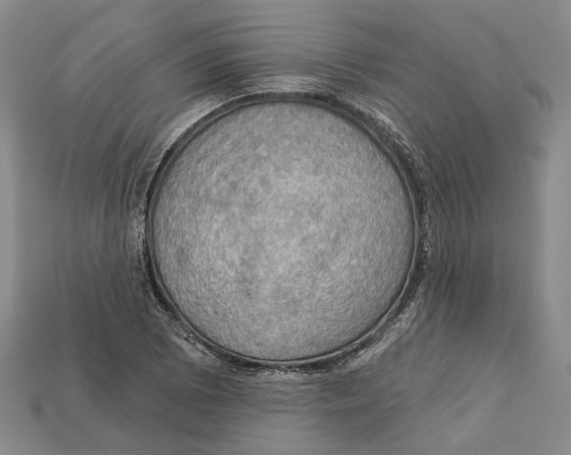 X0000113051073200909241450