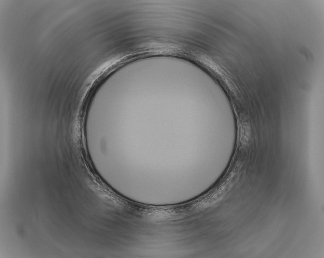 X0000113051074200909241450