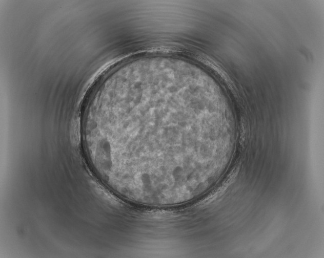 X0000113051075200909241450