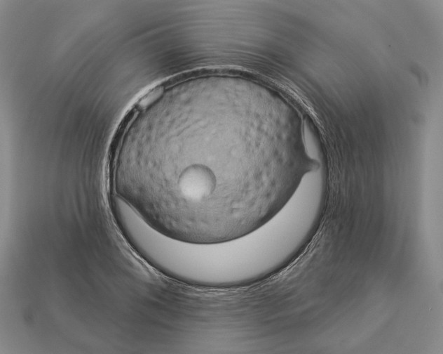 X0000113051076200909241450