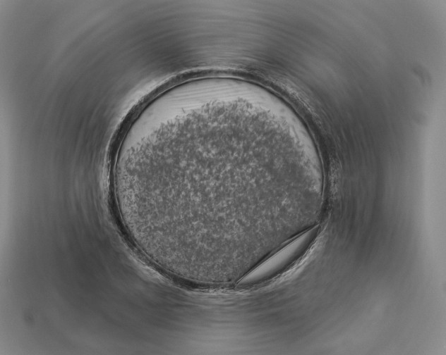 X0000113051077200909241450