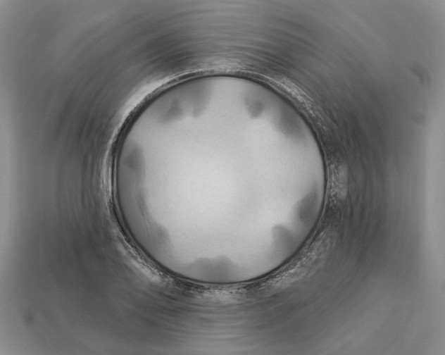X0000113051078200909241450