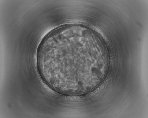 X0000113051079200909241450