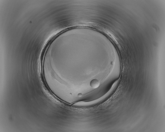 X0000113051080200909241450