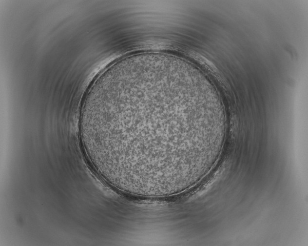 X0000113051081200909241450