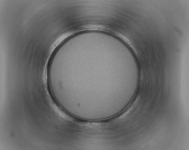 X0000113051082200909241450