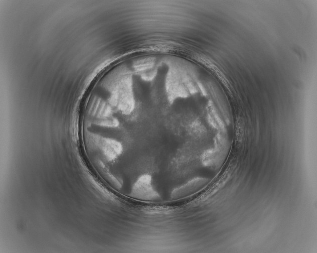 X0000113051083200909241450