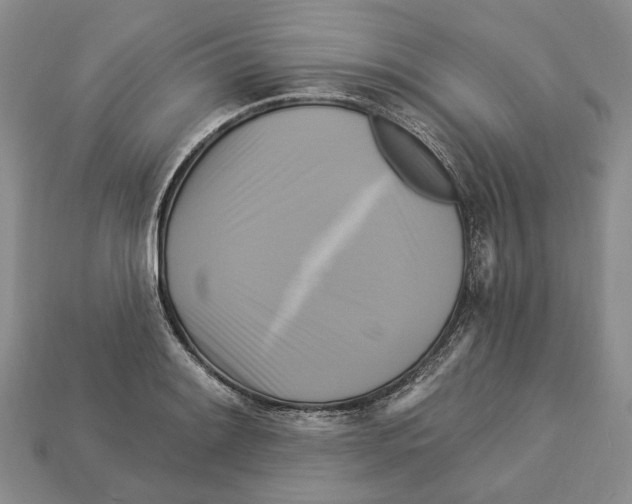 X0000113051084200909241450