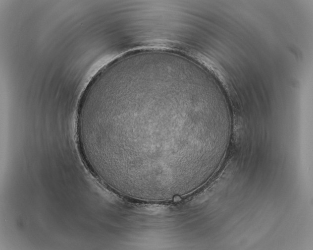 X0000113051085200909241450