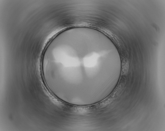 X0000113051086200909241450
