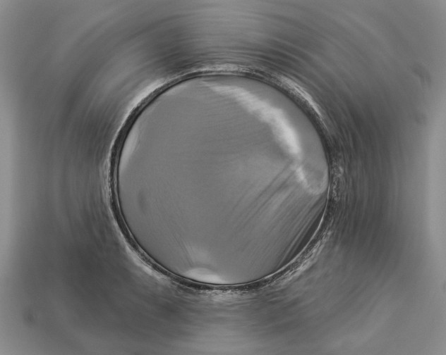 X0000113051087200909241450
