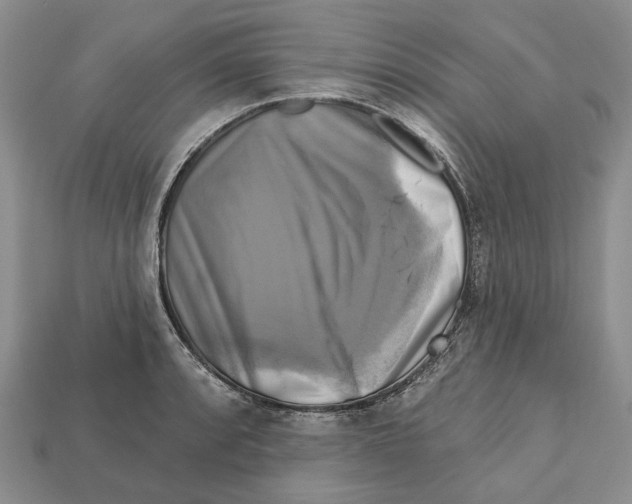 X0000113051088200909241450