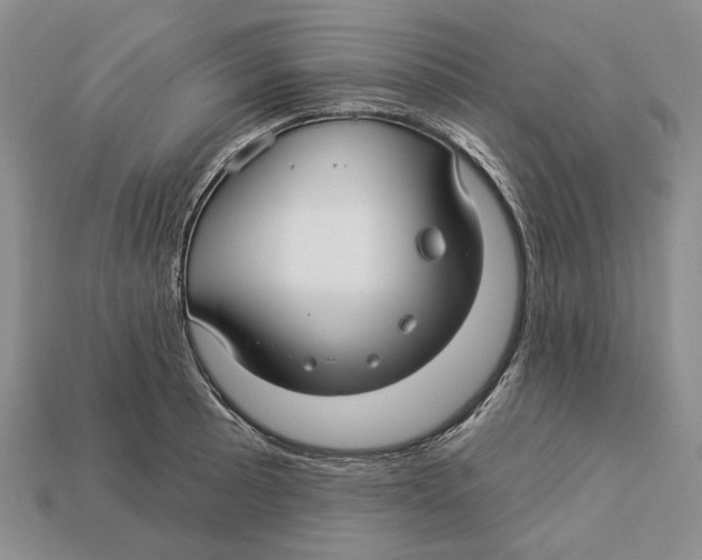 X0000113051089200909241450