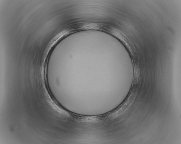 X0000113051090200909241450