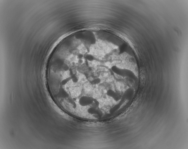 X0000113051091200909241450