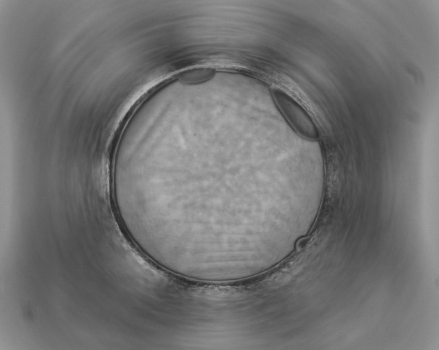 X0000113051092200909241450