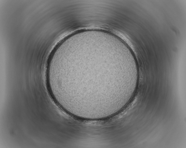 X0000113051093200909241450