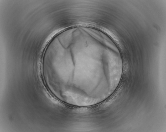 X0000113051094200909241450
