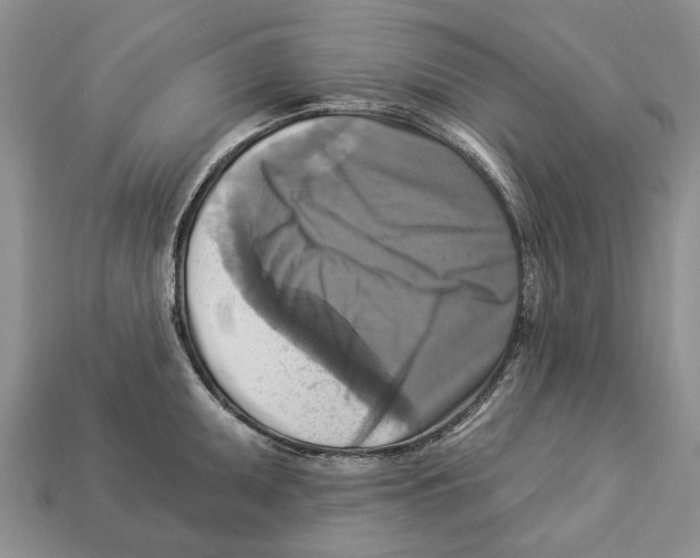 X0000113051095200909241450