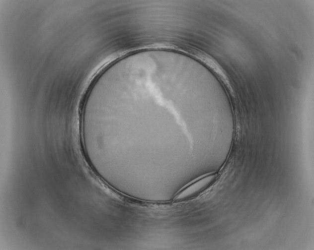 X0000113051096200909241450