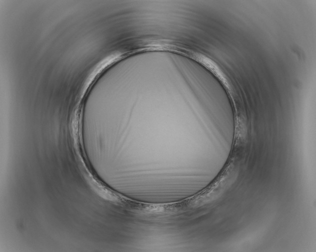 X0000113051098200909241450