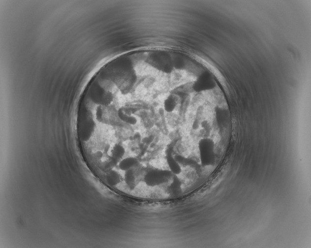 X0000113051099200909241450