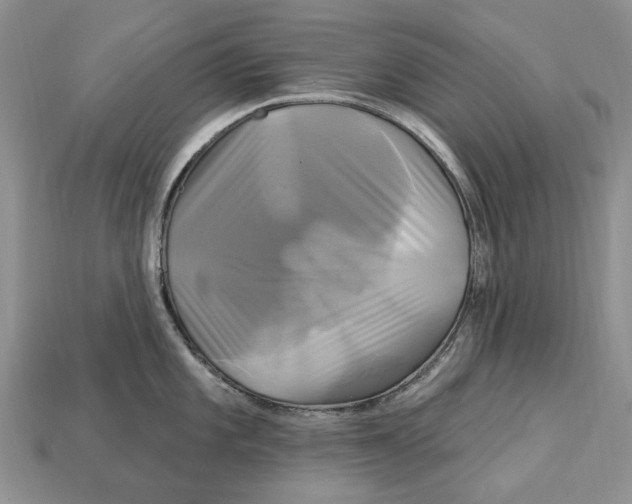 X0000113051101200909241450