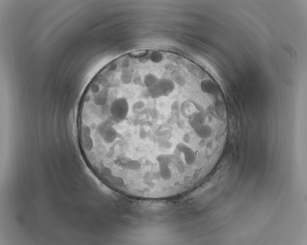 X0000113051103200909241450