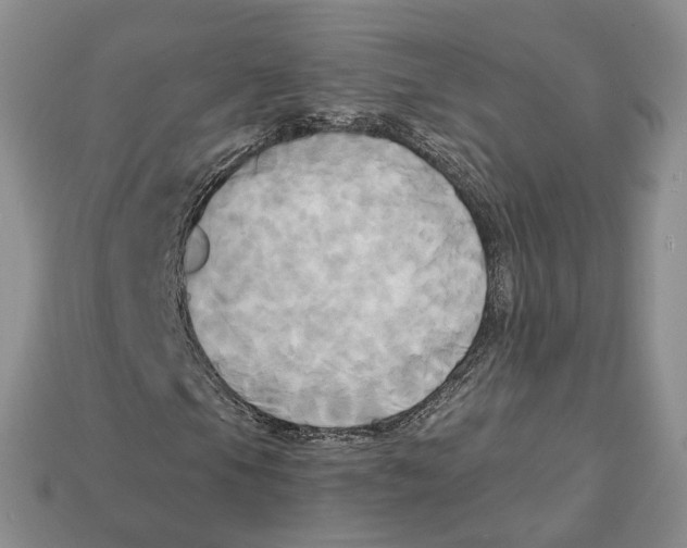X0000113051105200909241449