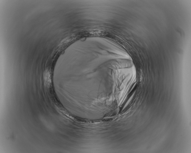 X0000113051106200909241449