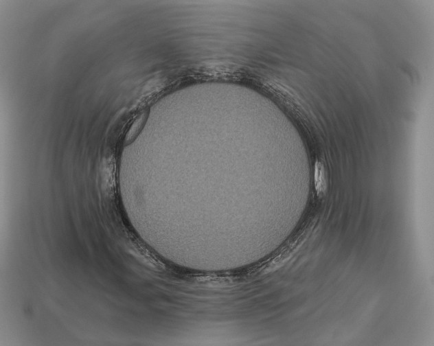 X0000113051107200909241449