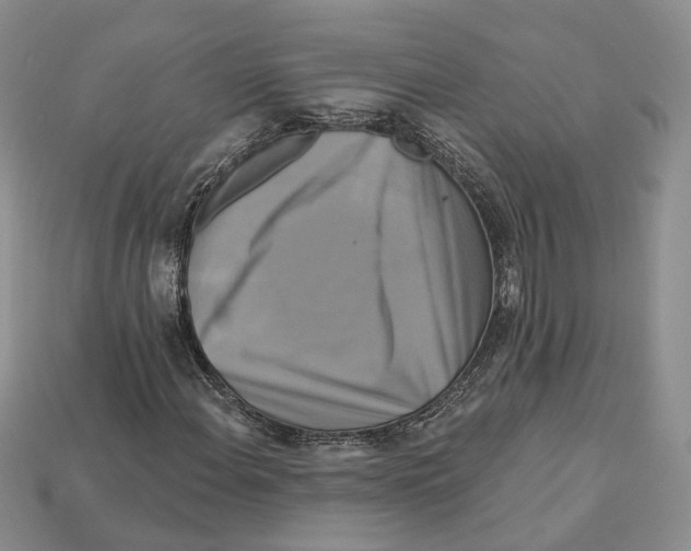 X0000113051108200909241449