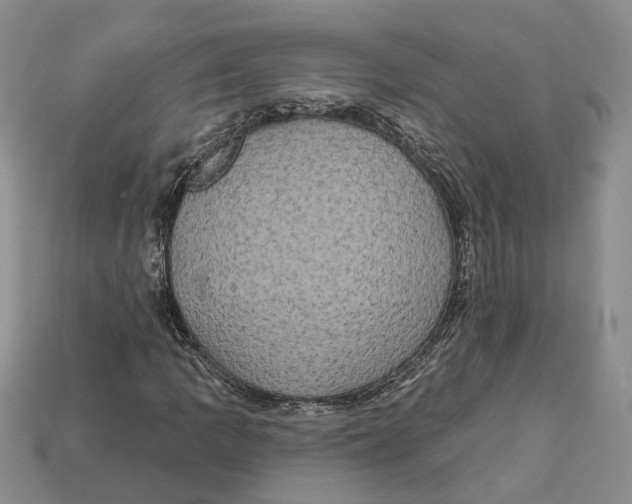 X0000113051109200909241449