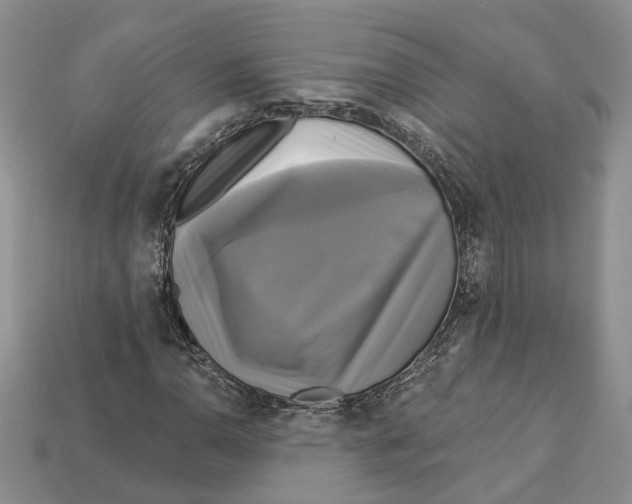 X0000113051110200909241449