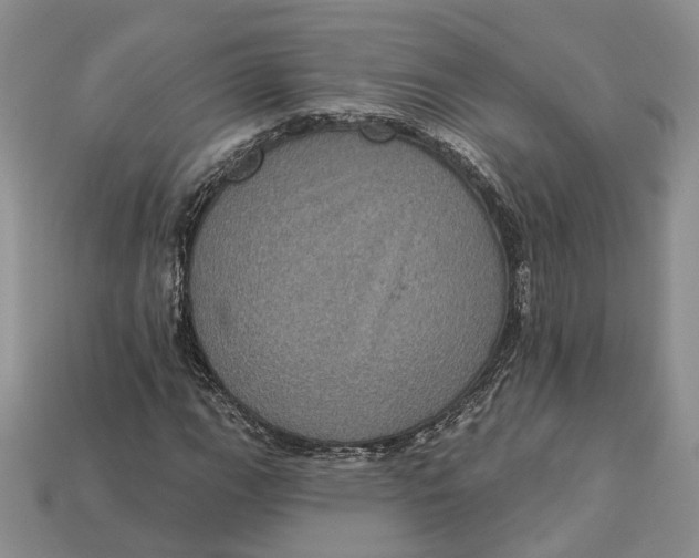 X0000113051111200909241449