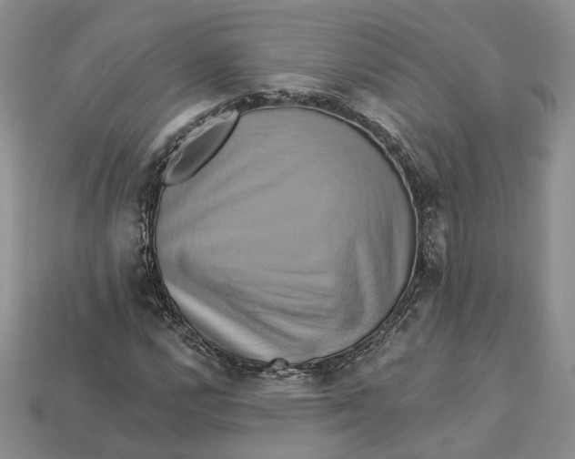 X0000113051112200909241449