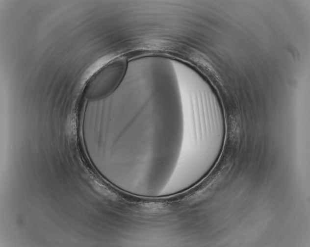X0000113051114200909241449